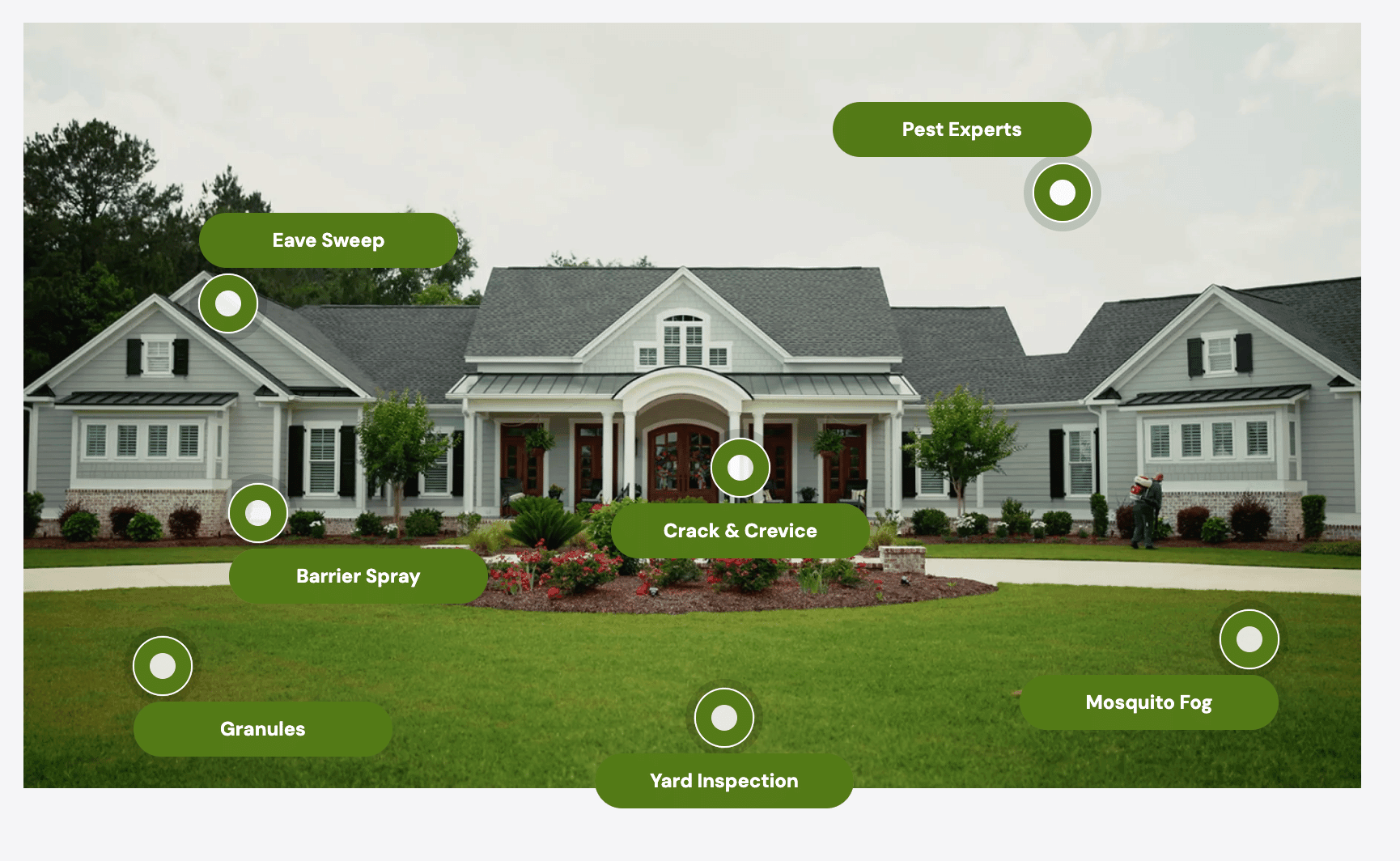Take Back Your Home With Expert Pest Control
